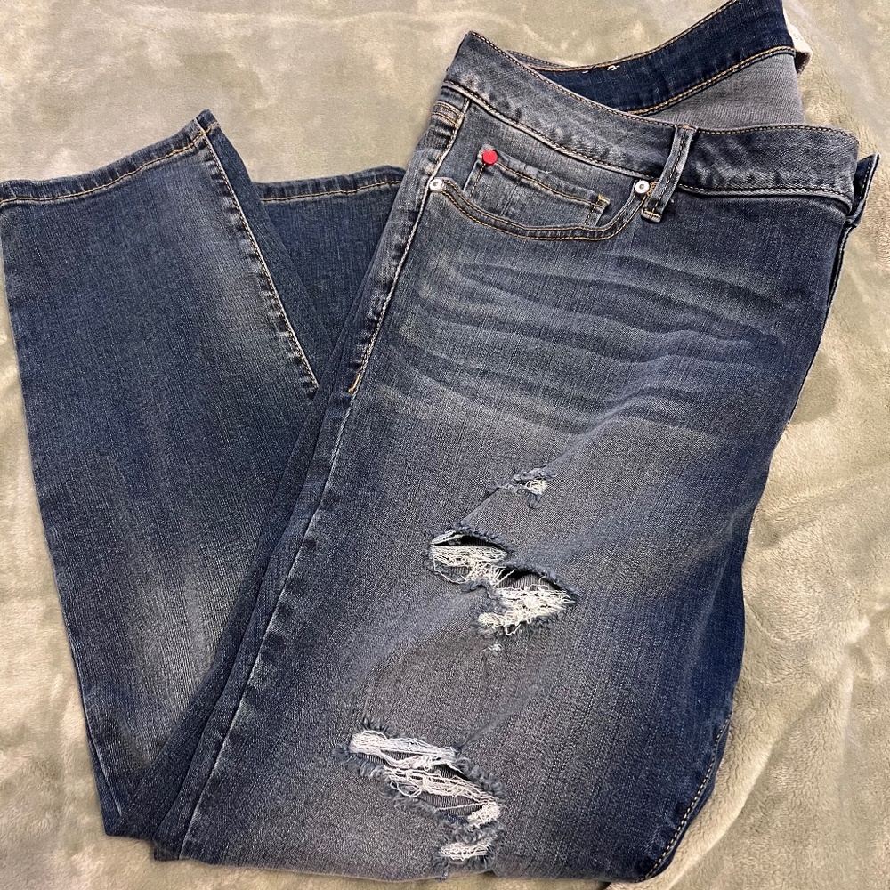 Slink Curvy Distressed Jeans